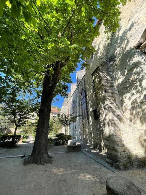 Studio, Centre Historique, Carmes Apartment *